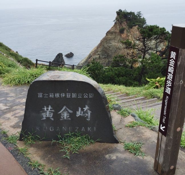 黄金崎に到着<br /><br />到着したとたんに雨足が強くなる<br />ほぼ土砂降り<br />せっかく来たんだから車から降りる