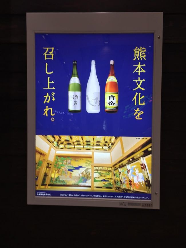 熊本に到着。白岳のしろ。