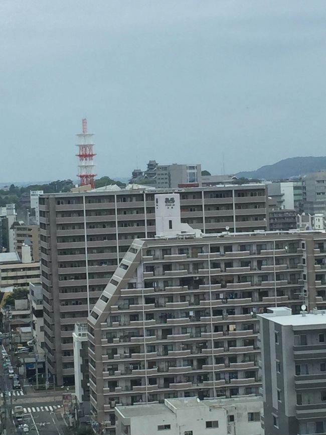 翌朝ホテルから遥か向こうに熊本城が。
