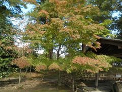 2013/10/27　毛越寺

中尊寺から次は毛越寺へやって来ました！！
１０分も掛かりんませんでした・・・
ちょっとアップダウンがありましたが・・・

ここまで来たら少しは紅葉が見られました！！