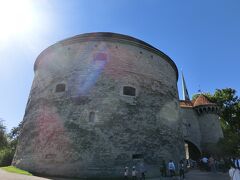 ふとっちょマルガレータ。