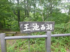 千畳敷海岸を出て、次の目的地、十二湖へと車を走らせました。

海岸線のまっすぐ道は　初心者マークの次男が運転。
山道に入る頃から　父さんが運転。

十二個の一つ、王池西湖に到着。