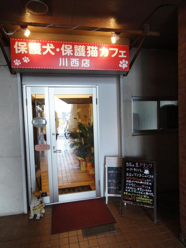 お店は阪急川西能勢口の駅から近く、川西市役所側です。<br /><br />大阪天神橋に本部がある「動物愛護と譲渡を促進するNPO法人ﾗﾌﾞﾌｧｲﾌﾞ」が犬猫たちの「殺処分ｾﾞﾛ！」を目指し、2年半前に日本で初めてｵｰﾌﾟﾝした、HOGOKEN CAFEの4号店です。<br />http://www.hogokencafe.com/<br /><br />川西店のﾌﾞﾛｸﾞは此方↓<br />http://hogokenhogonekoakiko.blog.fc2.com/