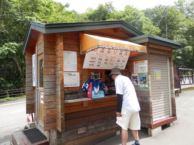 駐車場に車を置いて（駐車料は無料）、<br />電気バスでダムへ行く。<br />シニアが効いて往復５４０円だったかな？