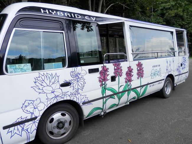 このバスです。