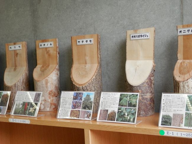 資料館を見学して・・・持参したおにぎり食べてバスに乗って駐車場へ戻った。