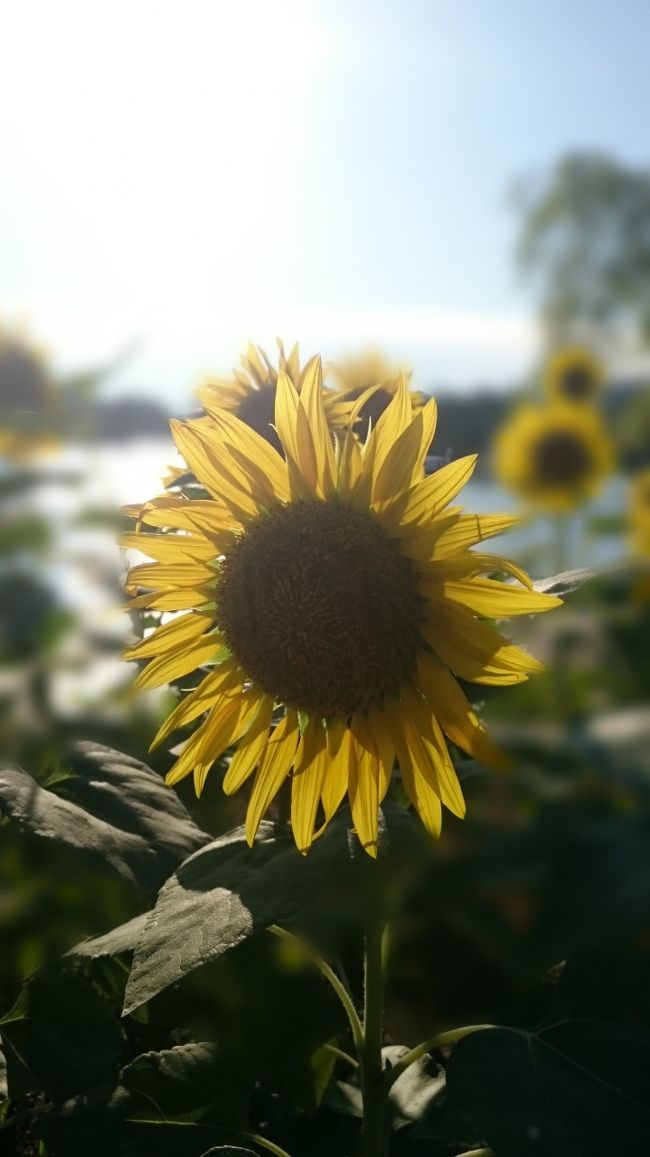 ちょっとお散歩。1周2キロ。