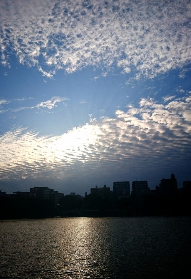 キラキラきれい