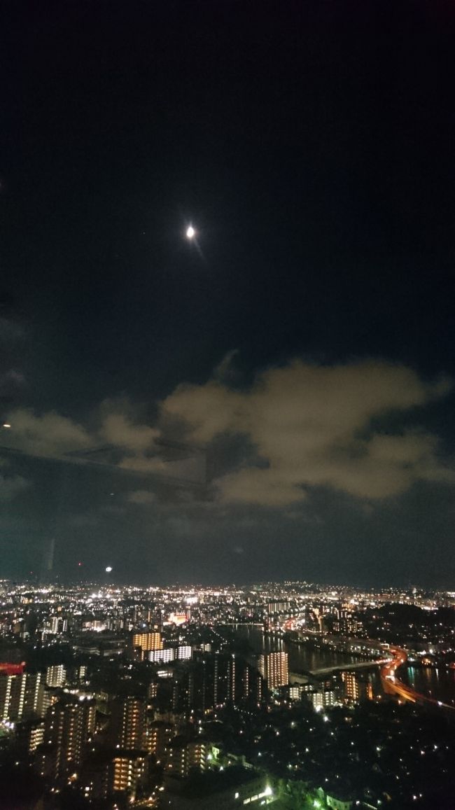 タワーからの夜景。<br />なかなかキレイじゃないの！