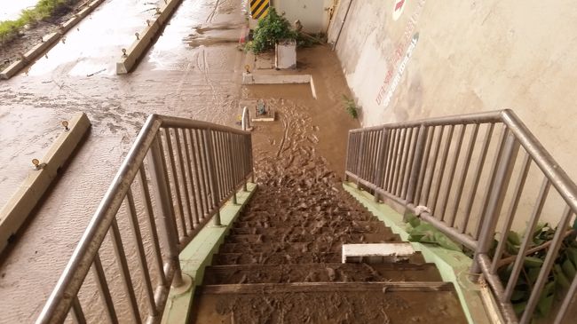 河原に降りることは困難。