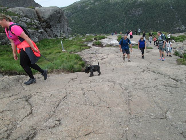 ワンコ同伴の人も結構見かけました。