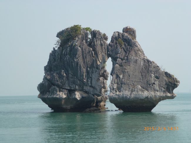 よく写真で見かけます。