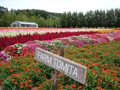 ファーム富田の花畑です！！

ラベンダーは全て散っていましたが、それ以外の花は元気よく咲いていました。ファーム富田はラベンダー製品が名物なのでここでバスグッズや芳香剤、ポストカードなどを買いました。