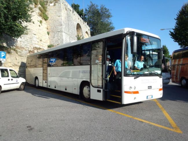 こちらになりました。