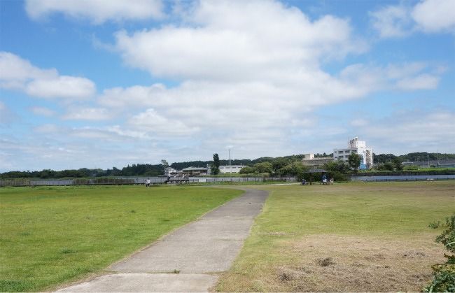 8月の手賀沼あたりで、鳥探し』我孫子(千葉県)の旅行記・ブログ