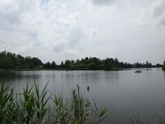 食後は蓼科湖の湖畔周遊道路をお散歩しました。