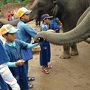 チェンマイでゾウ使いになるぞぅ ～Thai Elephant Home