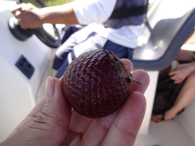 この辺りの名産なのかな。<br />「ブリッジ」という木の実の解説。これ、食べられるらしい。<br /><br /><br />※ブリッジって言ってたと思うんだけど、ネットで出てきません。<br />　正式名称を知っている方がいたら教えてください。