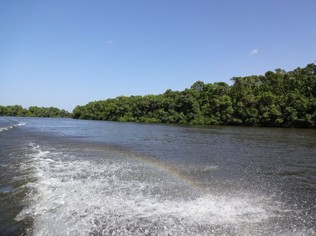 何言ってるかちんぷんかんぷんだけど、ジャングルの景色を眺めているだけで充分。<br />