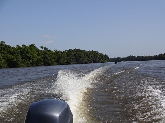 ボートは大河のど真ん中を突き進む。<br />水面の冷たい風が当たって気持ちいい。