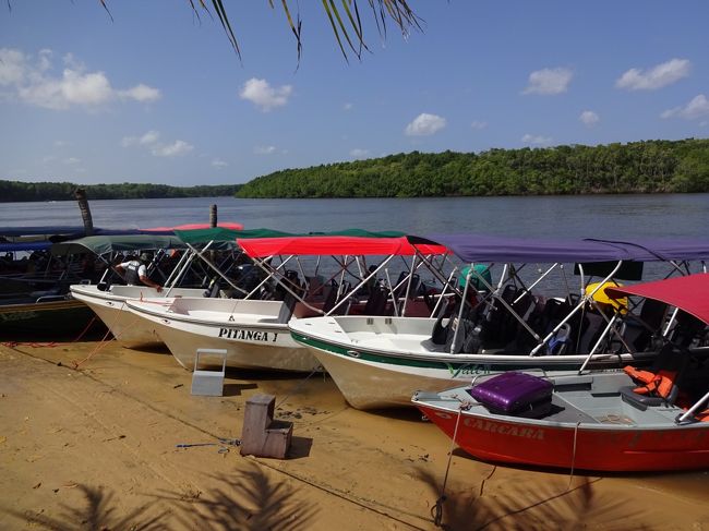 出発して30分後。最初の目的地に到着。<br /><br />ガイドが「ハイ、自由行動です〜。xx時までに戻って来て下さい〜」<br />みたいなことを言っていたけどサッパリ分からん・・・<br />