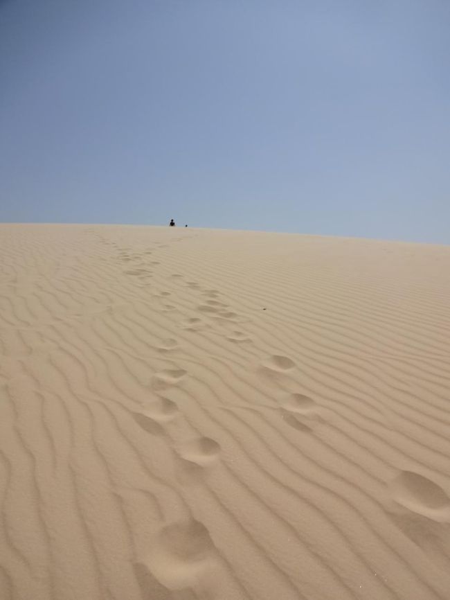 個人的には、目の前の砂丘を登り切った先にある景色を見てみたい。<br />足を取られながらも、傾斜のキツイ砂の壁を登って行く。<br />