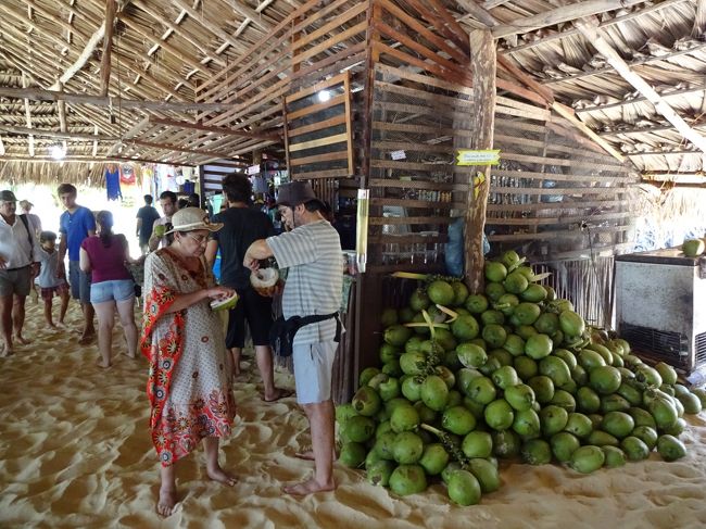 ボート乗り場の前には小さな売店がある。<br />ココナッツジュースやアルコール類も有り。<br />ビールに手が出そうだったけど、まだまだツアー序盤なので止めておいた。