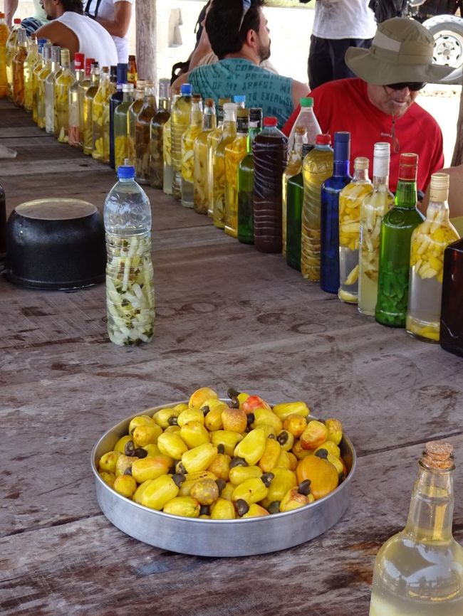 露店スタイルの即席バー。<br /><br />手前の黄色い実は何か分かります？？<br /><br />正解は後ほど。。。