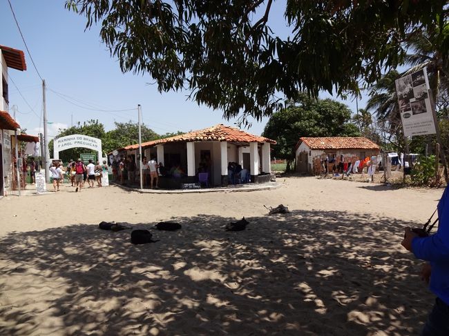 大きな木の陰は、犬のお昼寝広場に。<br />うん？なんか凄いカッコで寝てるのが一匹いるぞ・・・<br />