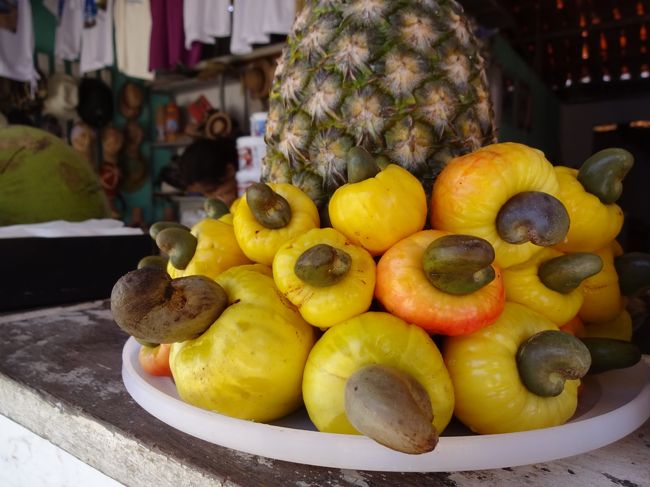 この辺りの名産なのかな。こんな素敵な飾り付けにも使われる。<br /><br />黄色の部分はフルーツとして食用にもなるようです。<br /><br />ブラジルのカクテル「カイピリーニャ」にも使われる。