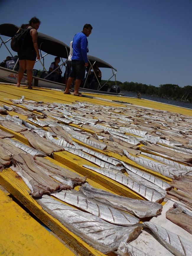出発時間となり、ボートへ。<br /><br />この時間帯になると、観光客はほとんどいなくなり・・・。<br /><br />桟橋は干物の干し場所へと変わってた。