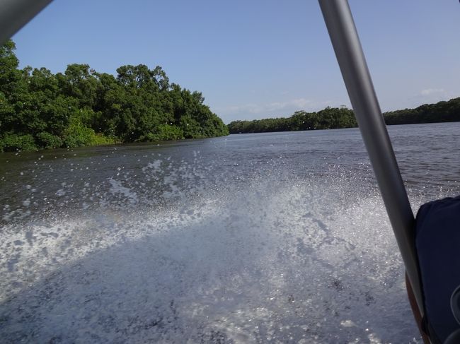 ボートは上流に向かって、スピードを上げる。