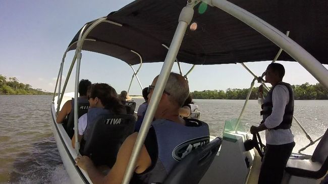 ボートはさらに川を下る。