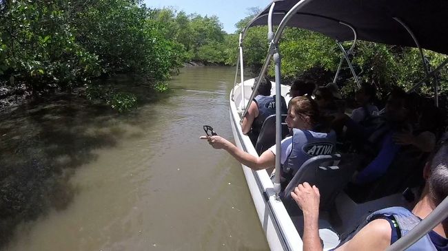 ボートは時々細い水路へ。<br />川の脇道って言ったら良いのかな。<br />大河は大きな本流と細い支流が幾つも組み合わさって形成されています。