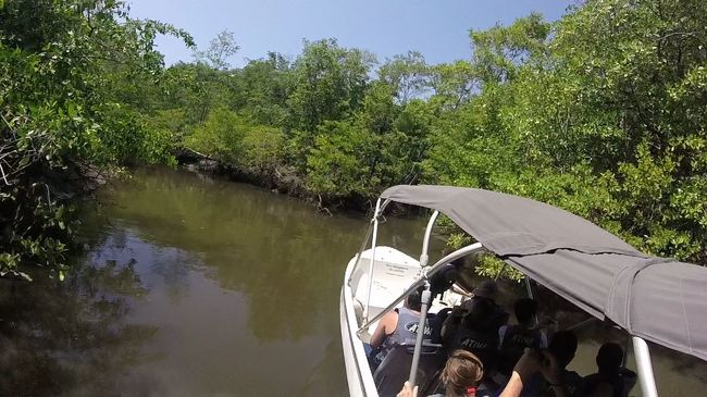 スピードを緩めて、生き物の観察をしながら進みます。