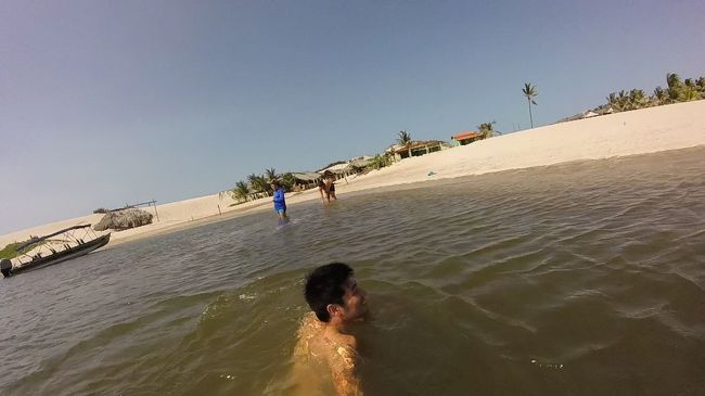 川なんだけど、河口が近いので水はしょっぱい。