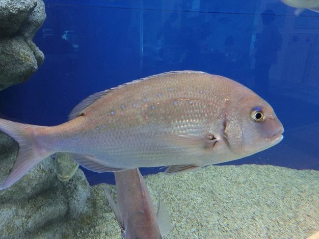 美味しそうと思ってしまう。