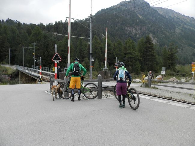 ＹＯＵ達は、ワンちゃんと一緒に<br />チャリンコで行くつもりなの！