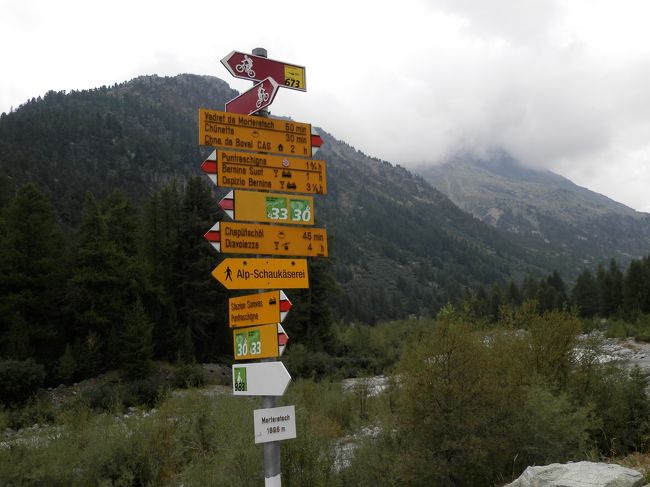 このコースは一本道だし<br />高低もないからビギナーや家族連れ向けなの！