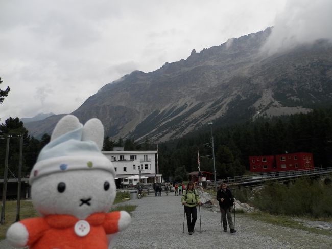 グーちゃん！<br />ここは氷河が年々後退してるのが<br />わかるらしいよ！