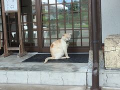 ８月２８日（金）晴天
御誕生寺　越前市庄田町にある曹洞宗のお寺です。殺処分になる猫ちゃんの保護寺です。NPOの団体さんが中に入って里親さんを探してくれたそうで２０匹以上の猫が里親さんに引き取られたそうです。現在は１８匹ほどいるそうです。残った猫ちゃんの中には病気の子が多いそうです。今回は１０匹ほど見ることができました。２か月くらい茶虎猫ちゃんいます。どなたか里親さんになってくれるとありがたいです。