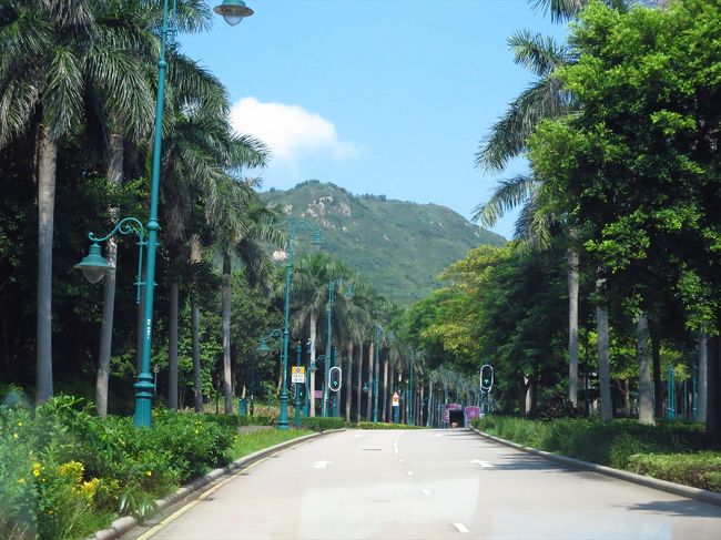 8時半、深センのマンションを出発。出発前に、お腹壊して焦りました…(-_-;)皇崗口岸は幸い空いていて、すぐに出境して、空港行きのリムジンに乗って香港に入りし香港空港に出発しました。<br /><br />ところが…！！リムジンの乗客の中に、ディズニーランドに行く乗客も乗っていて（そんなこと今回が初めてでした）、その乗客を降ろすために、リムジンは空港にはまっすぐ向かわずにまずはディズニーランドへ…(^^;)<br /><br />時間に余裕をもって出てきてよかったです…