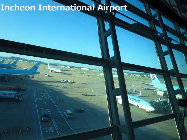 窓の外には大韓航空機がいっぱい。ナッツリターンを思い出しました。