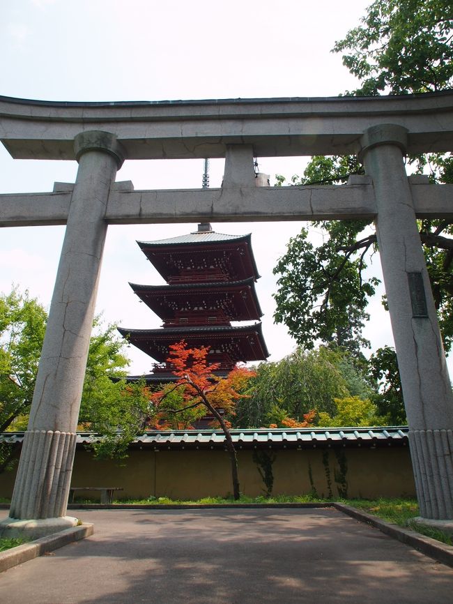 五重塔と鳥居