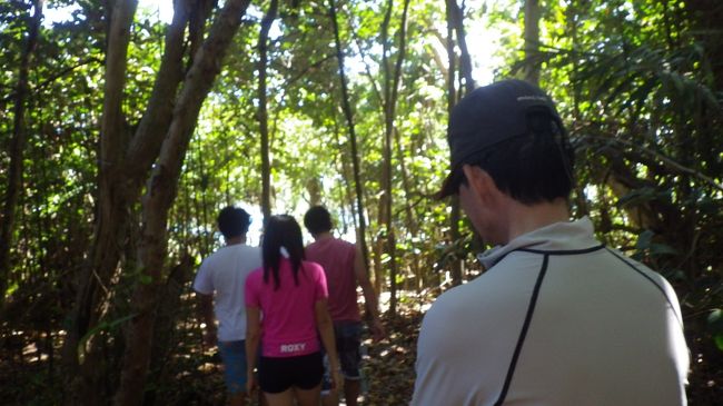 海だけでなく木も多いです。