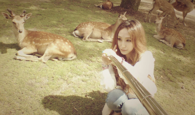 一人なので、<br />セルカ棒で鹿とのショットを狙いますｗ<br />奥には有名な東大寺や色々あるみたいですが、<br />今のあたしは動物と過ごす方が<br />何倍も幸せなので鹿と戯れます(oﾟ∀`o)<br /><br /><br />もっと年齢を重ねてありがたみが<br />分かるようになれば、お寺巡りもいいかもね♪<br /> 