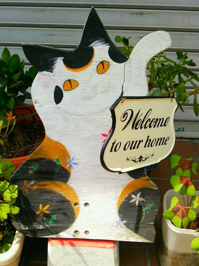 おっと、いきなり猫ちゃん発見！<br /><br /><br />そう、ここならまちは猫祭で有名なのに<br />本物の猫ちゃんはあんまりいないんです。<br />でも猫グッズは沢山あるよー⊂(^ω^)⊃<br />