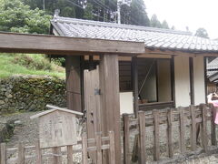 なんだこれは？