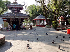 アジマ神の化身とされるイノシシが祀られているというバラヒ寺院。