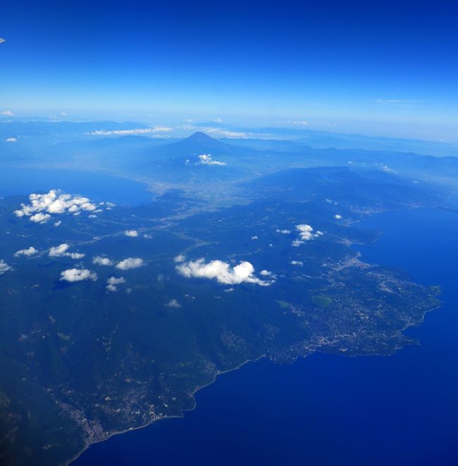 伊豆半島沖から